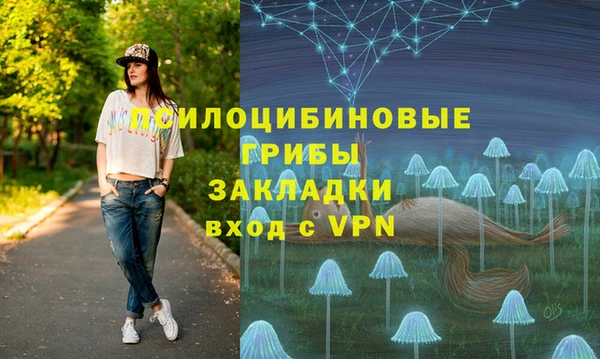 2c-b Лагань