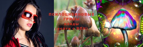 стаф Ладушкин