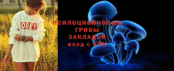 стаф Ладушкин