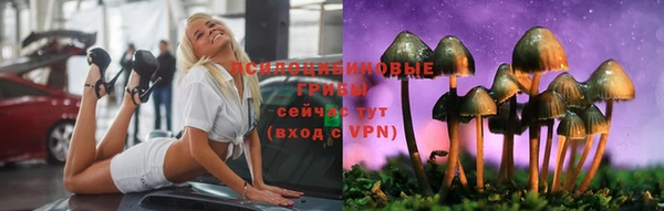 гидра Липки