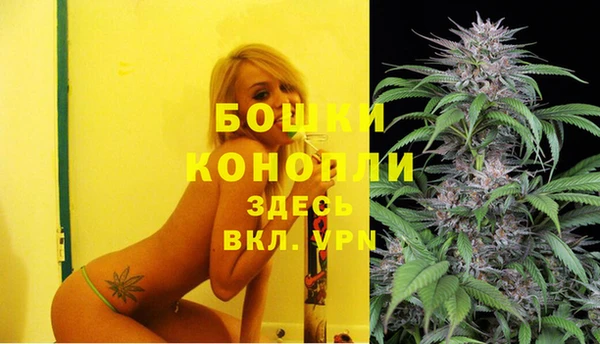 2c-b Лагань
