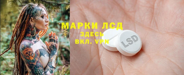 гидра Липки