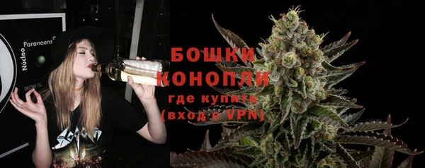 стаф Ладушкин